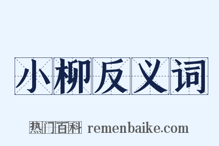 小柳反义词是什么意思的图片
